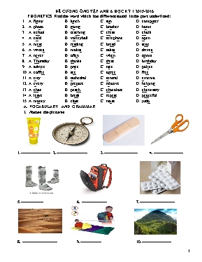 Đề cương ôn học kỳ I môn Tiếng Anh Lớp 6 - Năm học 2015-2016